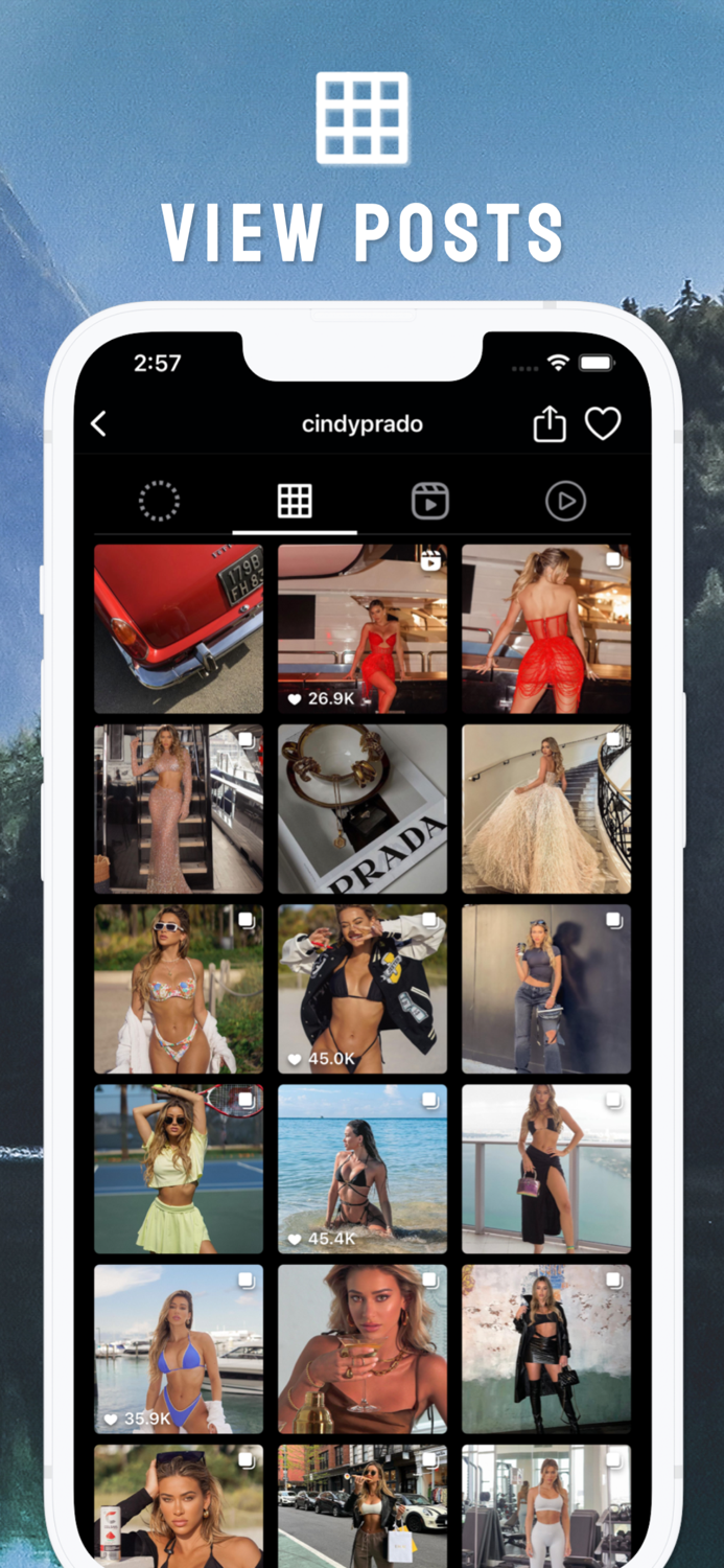 Profile Story Viewer by Poze