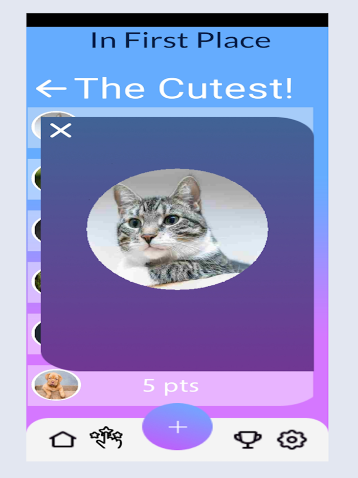Pet Share Photo Voting Game