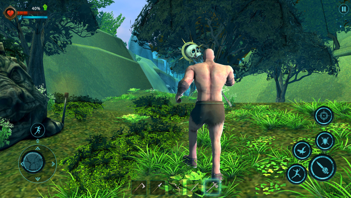 The Forest Survival among Gods