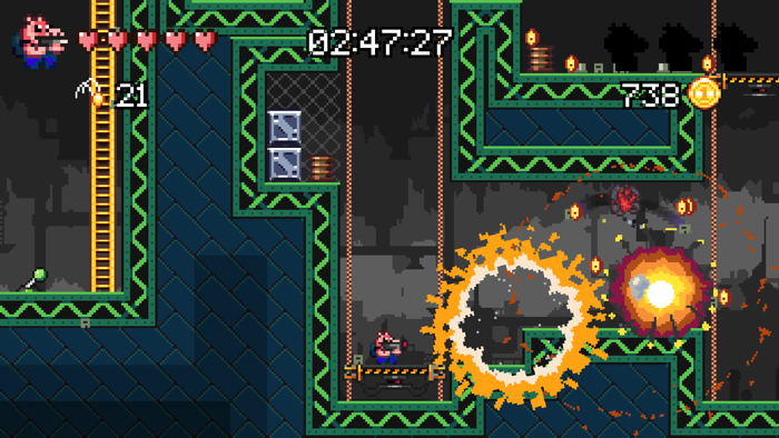 Ammo Pigs Armed and Delicious