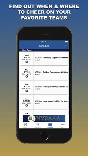 NYSAAA screenshot 3