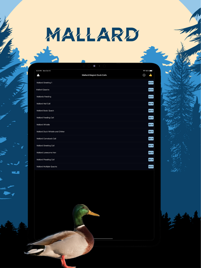 Mallard Magnet - Duck Calls