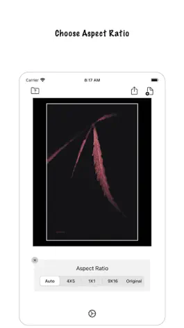 Game screenshot Nuru-No Crop For Instagram mod apk