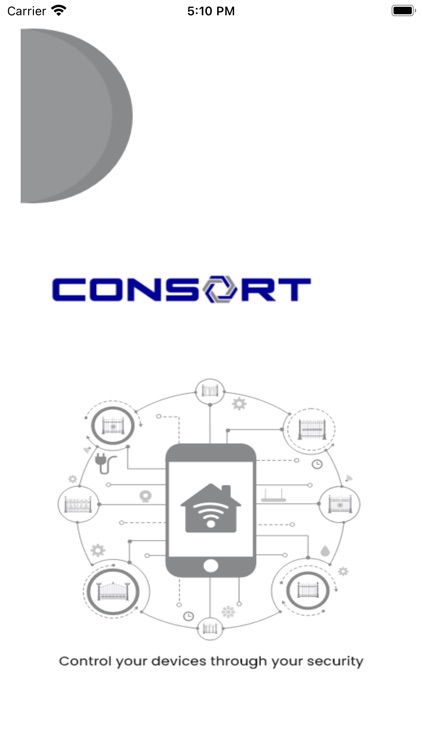 Consort Mobile Access