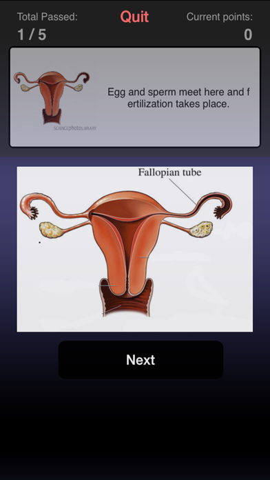 JourneyClinic Screenshot