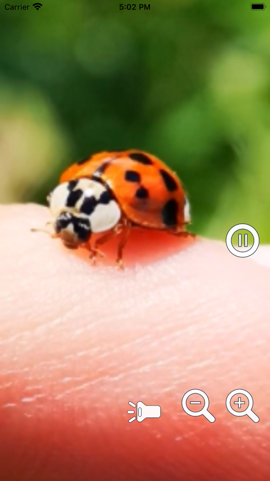 #1. Magnifying Glass Pro2 - Loupe (iOS) 由: Krzysztof Gwiazda