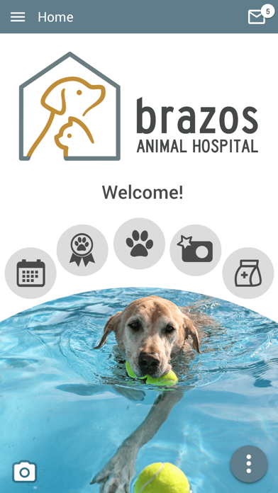 Brazos Animal Hospital Screenshot