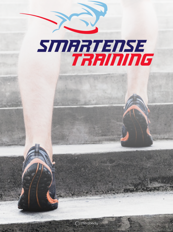 SmarTense Training
