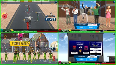 Street Cricket Championship Screenshot