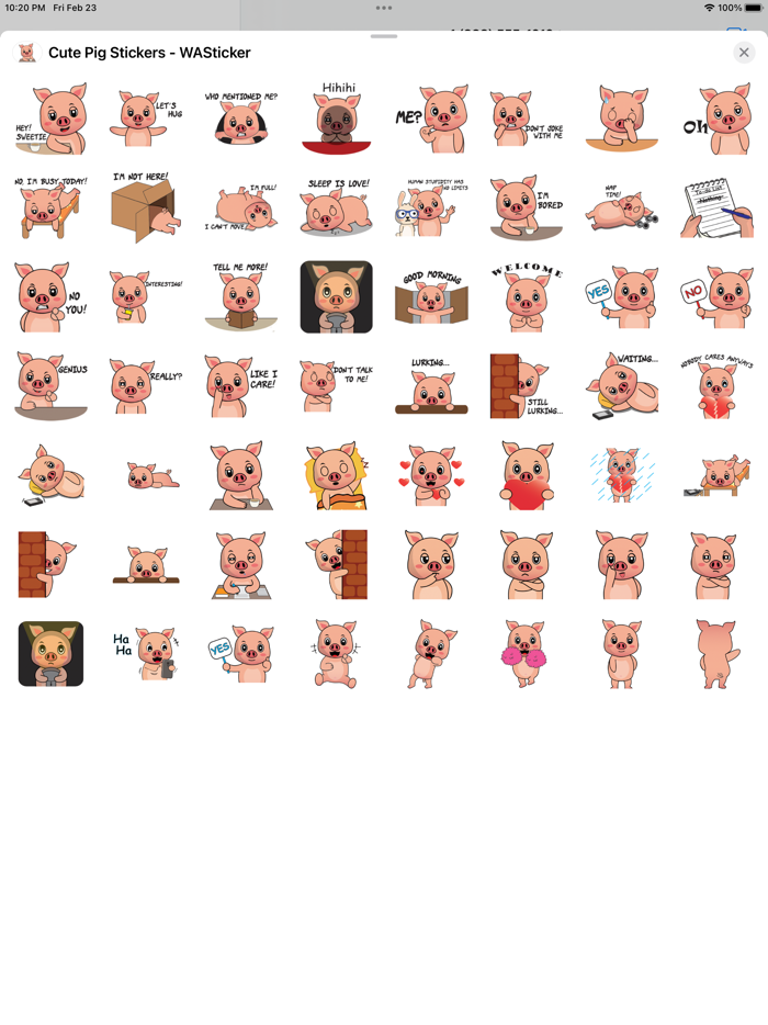 Cute Pig Stickers - WASticker