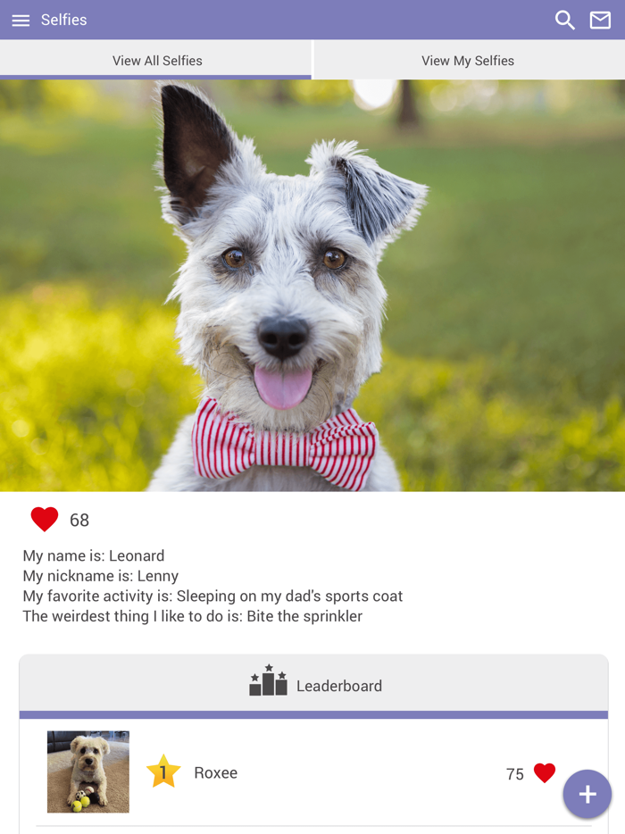 North Kingstown Animal Hosp