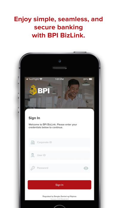 BPI BizLink Screenshot