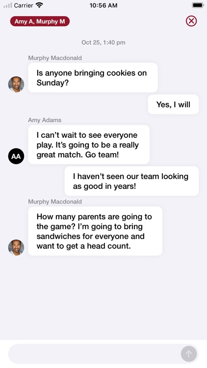 Downtown Soccer League NYC