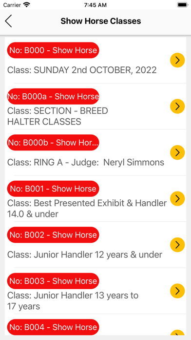LiveScore Show Horse Screenshot