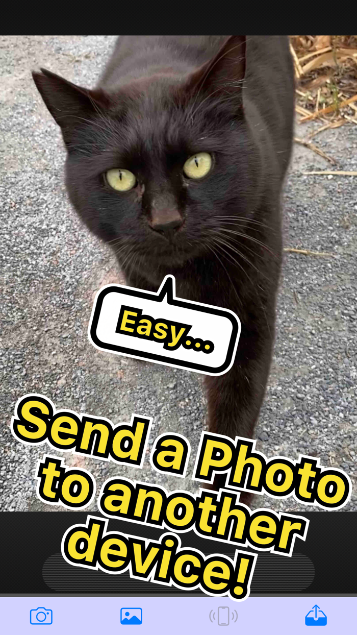 BlueTransLite - Easy sharing