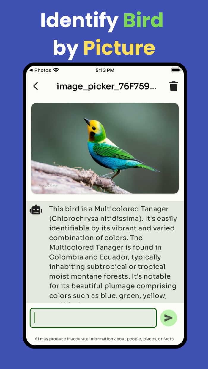 Bird identifier by picture