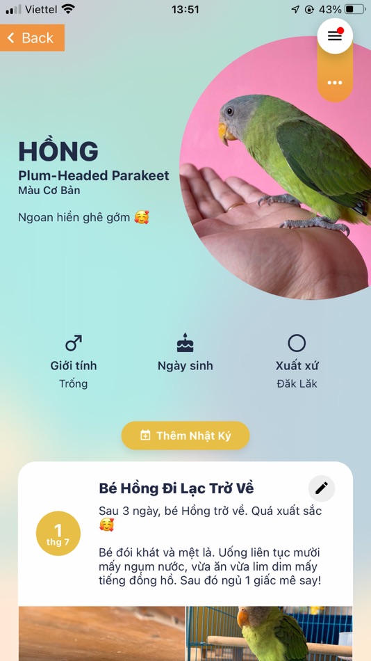 #10. Parrot Lands (iOS) 由: Anh Nguyen