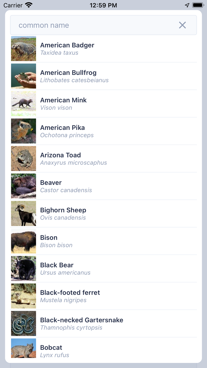 Utah Roadkill Reporter