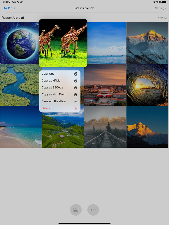 PicLink-Best image Hosting App
