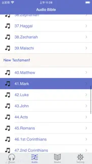 nrsv bible (audio & book) iphone screenshot 2