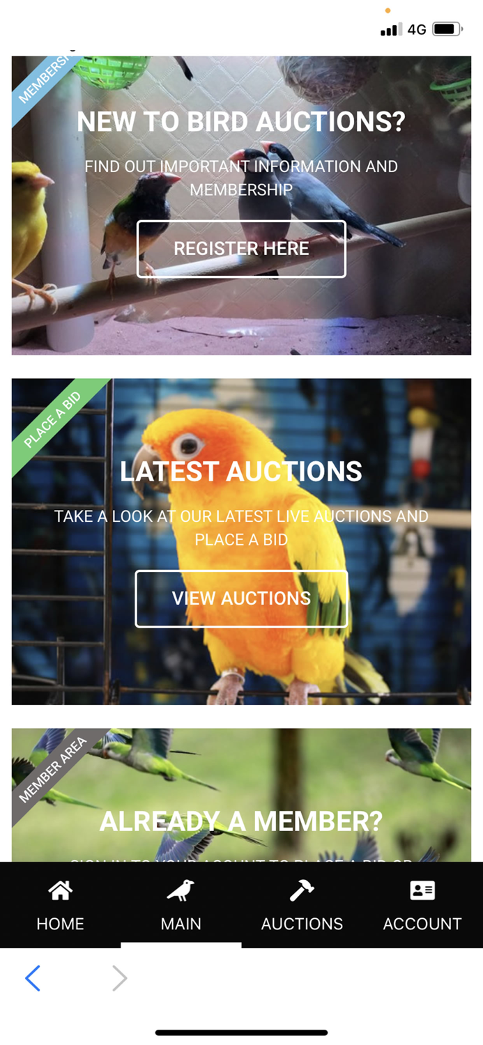 Bird Auctions