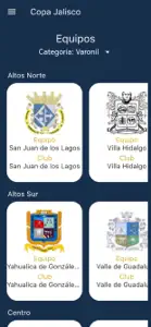 Copa Jalisco screenshot #4 for iPhone