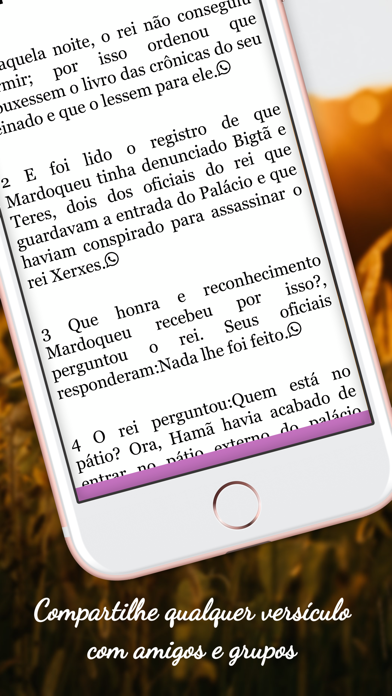 Bíblia para Mulher Português Screenshot