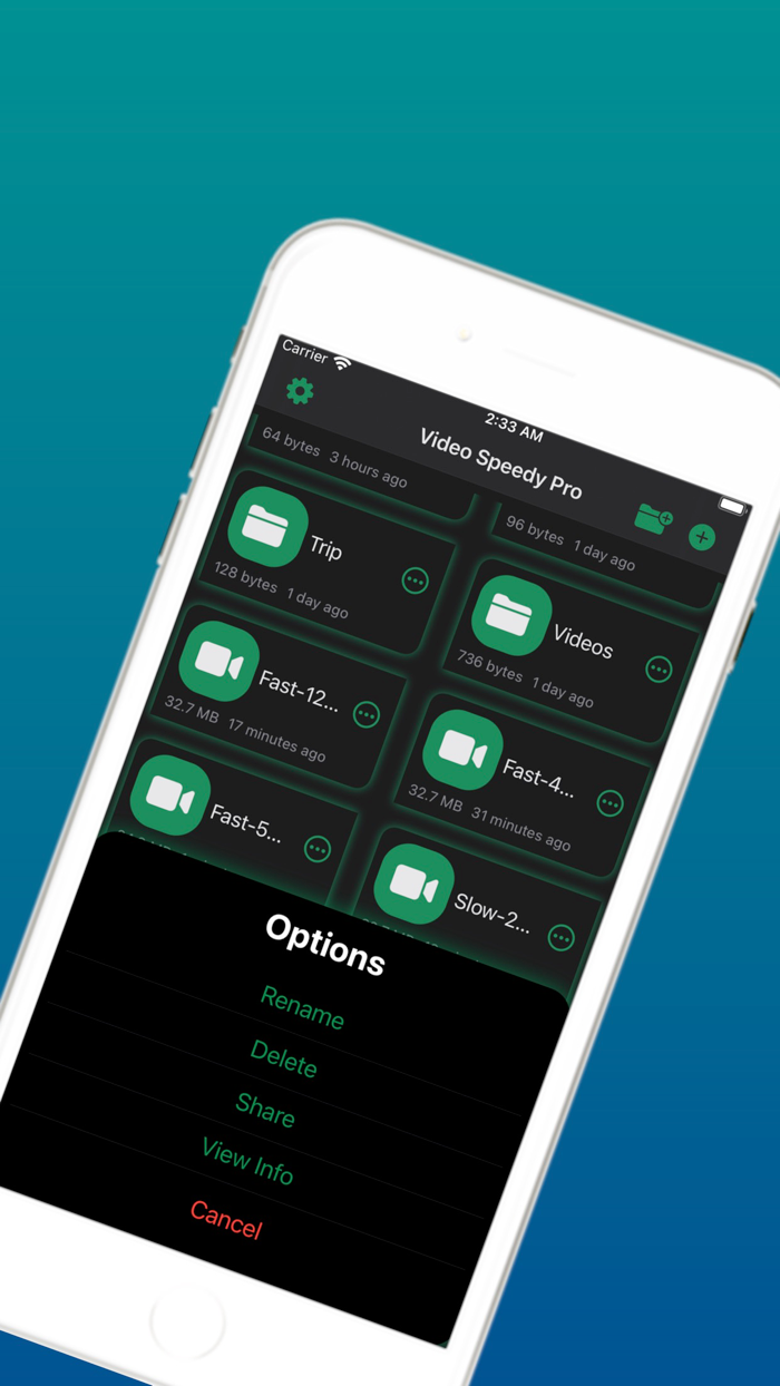 Video Speedy Pro
