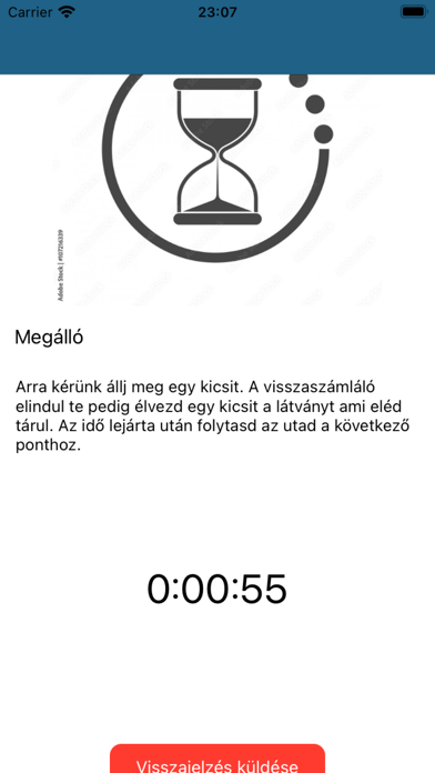 Pilot System Screenshot