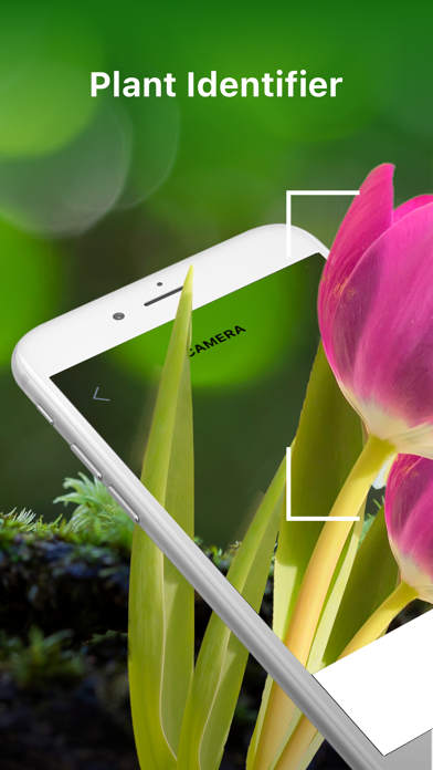 Leaf Identification Plant ID Screenshot