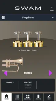 swam flugelhorn problems & solutions and troubleshooting guide - 2