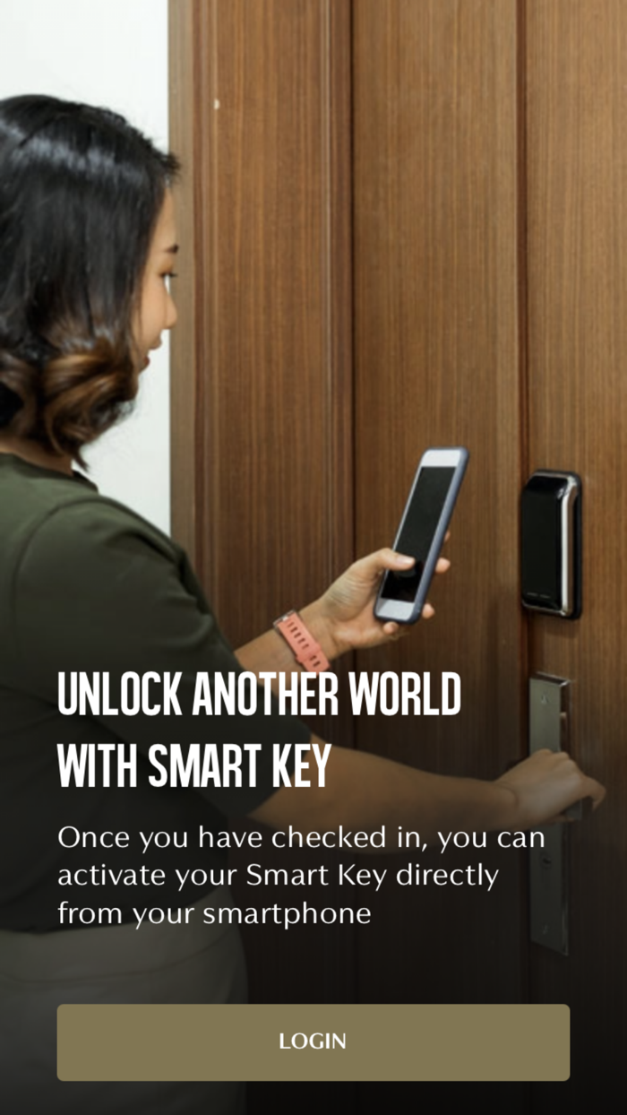 Viceroy Smart Key