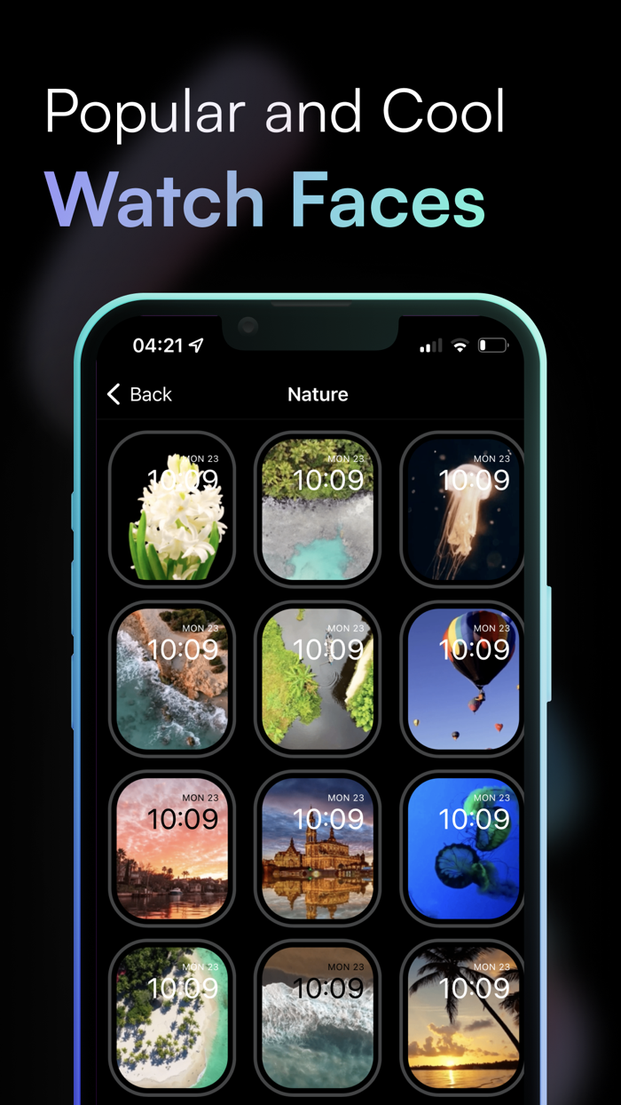 Lively  Watch Faces Gallery