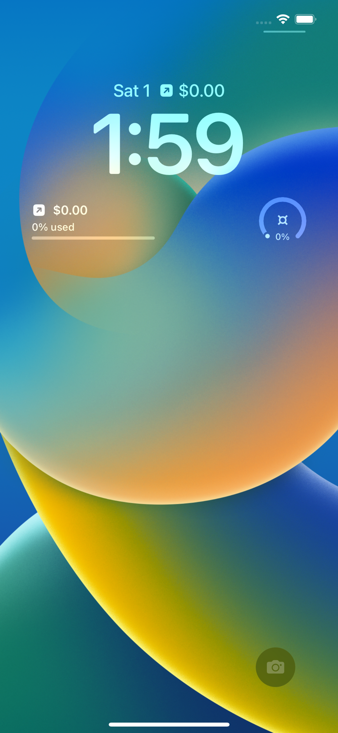 NetWorth - Expenses and Budget