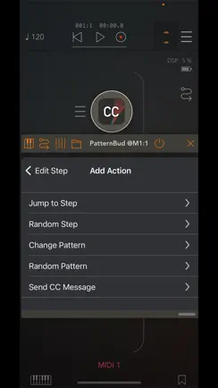 PatternBud - MIDI CC Sequencer iPhone image 3