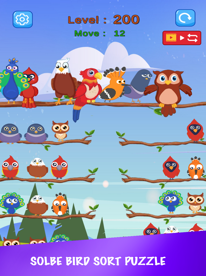 Baby bird sort  color puzzle