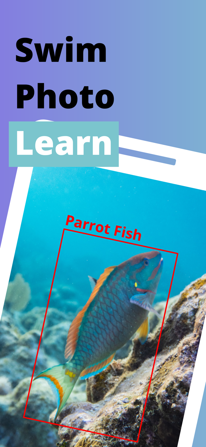 Photo Fish - Fish Identifier