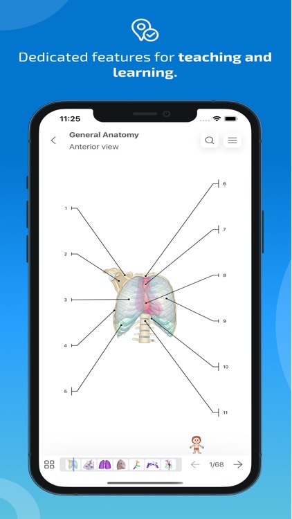 IMAIOS e-Anatomy screenshot-7