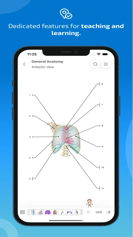 IMAIOS e-Anatomy screenshot 8 of 9