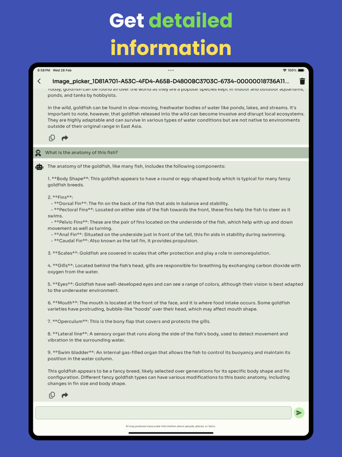 Fish identifier 2024