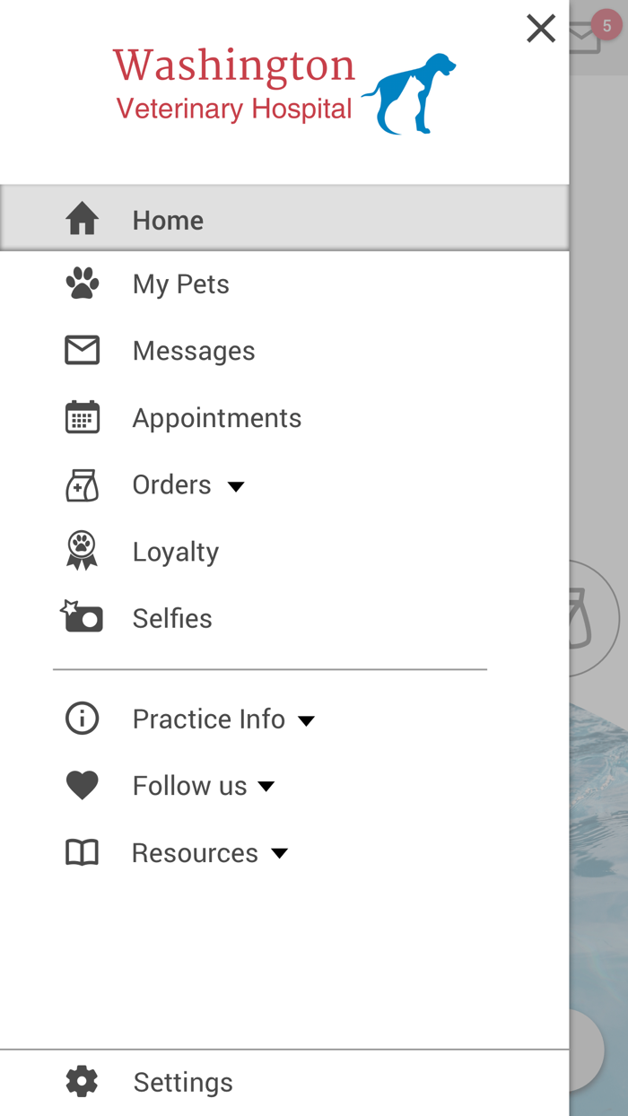 Washington Vet Hospital