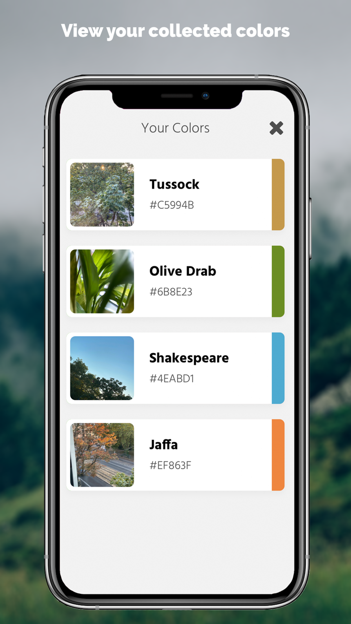 Loomy Live Color Picker