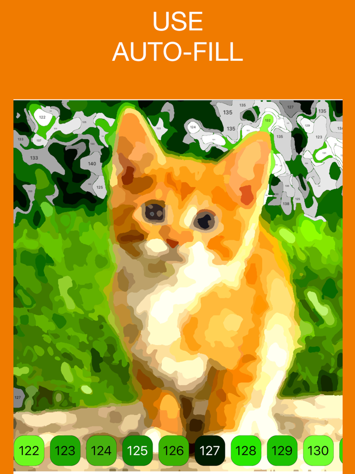 Paint by numbers your photo