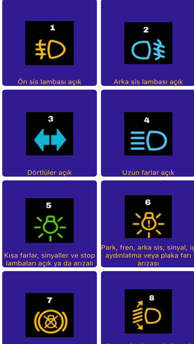 Ehliyet Sınavı Bilgi Kartı Screenshot