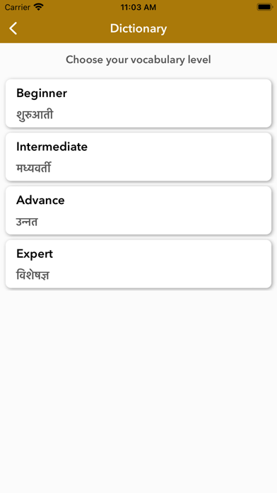 Hindi Dictionary : Word Games Screenshot