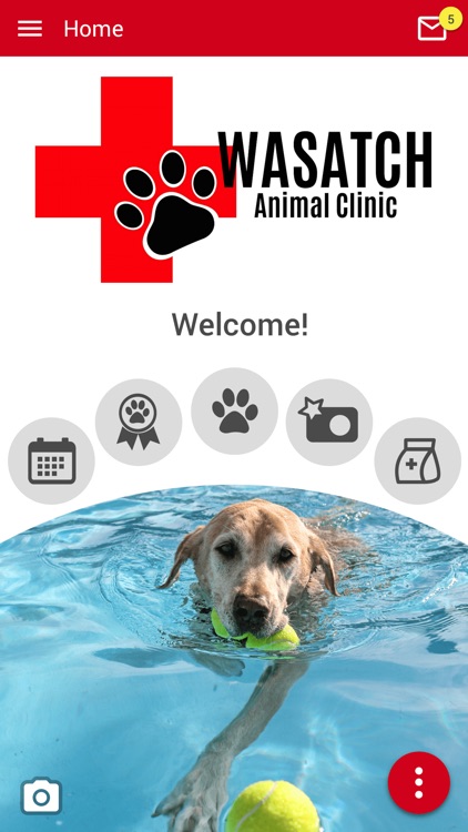 Wasatch Animal Clinic
