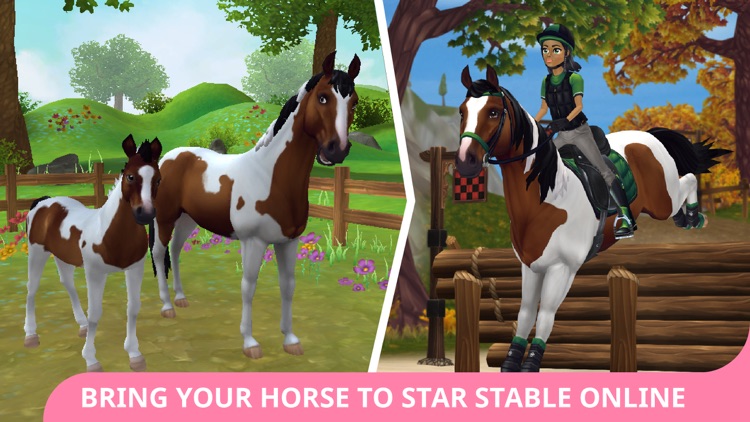 Star Stable Horses screenshot-6