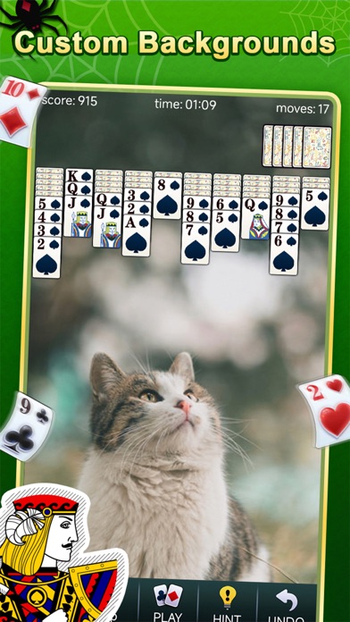 Spider Solitaire - ACE Screenshot