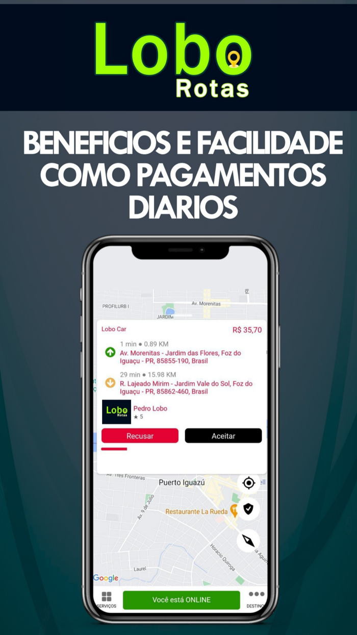 Lobo Rotas - Motorista