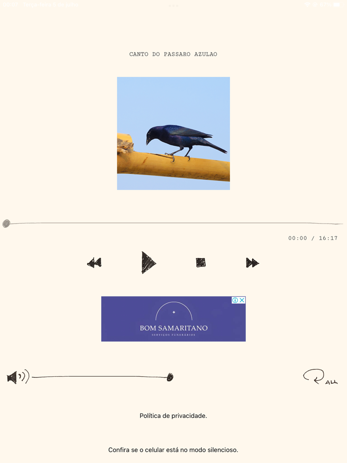 Cantos dos Pássaros Br